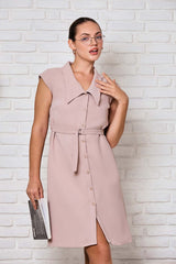 Daily Sophisticated WW Dress
