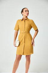 Elegant Clean Finished Work Wear Dress