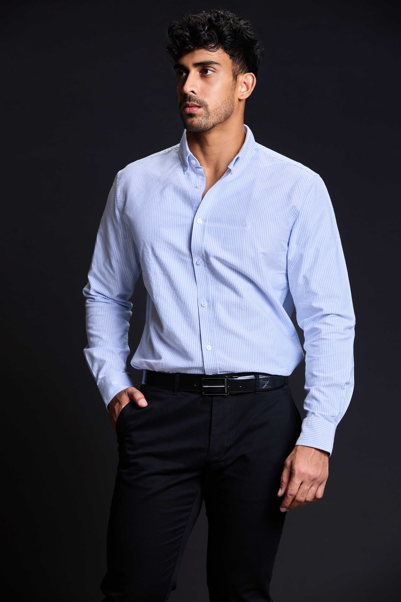 The Madison Stripe Shirt