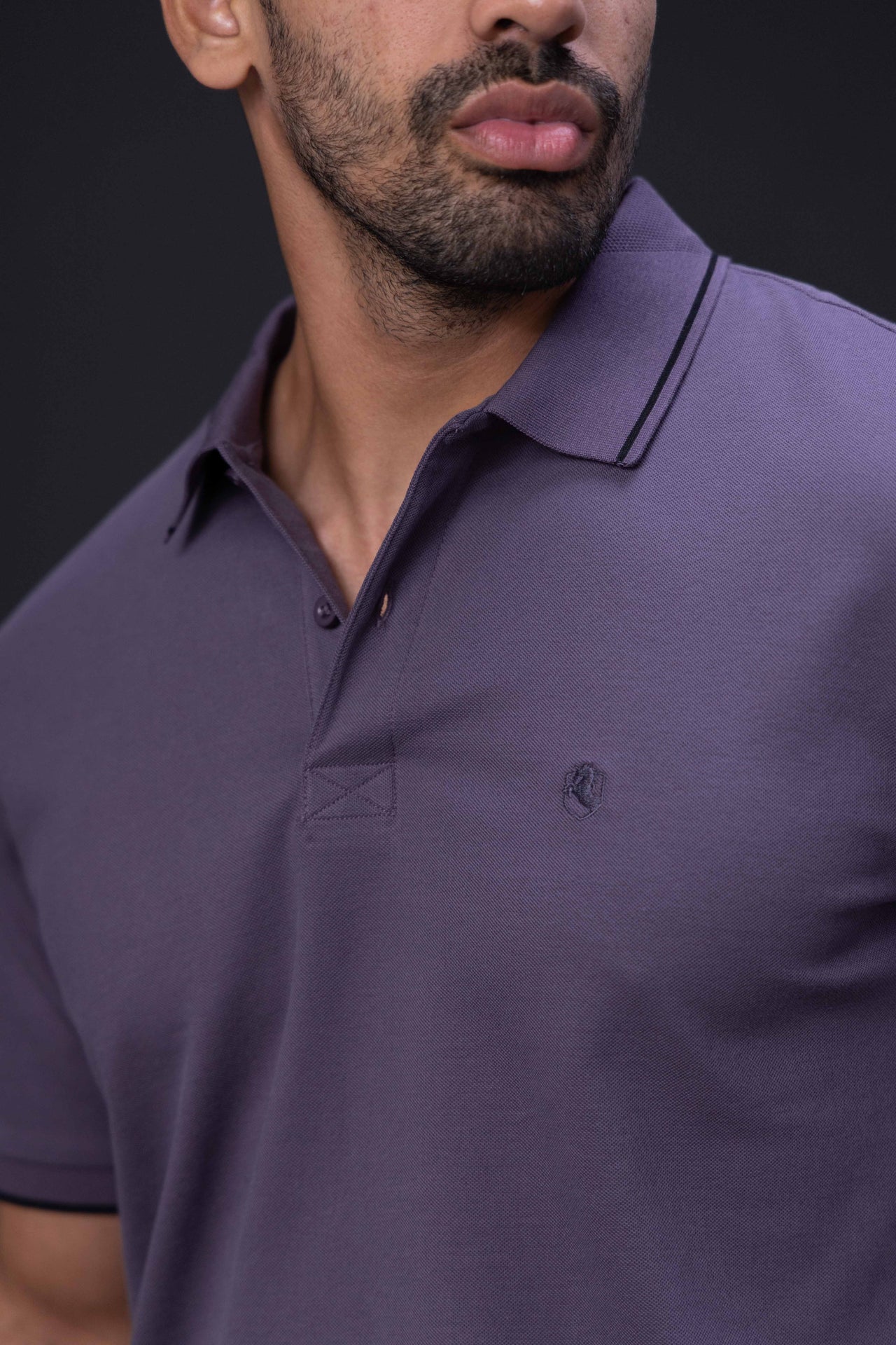 The Essential Classic Polo