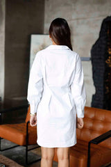 Serinity Shirt Dress